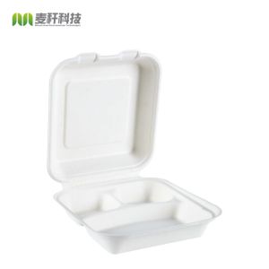 8x8 3 compartment bagasse pulp hinged delivery container box
