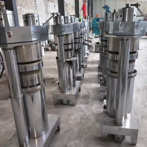 100Kg Per Hour Flax Sesame Walnut expeller Hydraulic oil press cold press