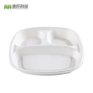 Eco Friendly Sugarcane Bagasse Biodegradable Disposable Tray Compostable