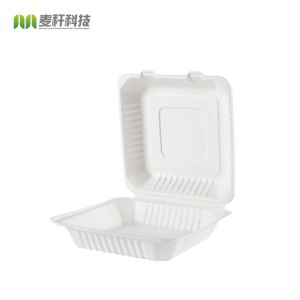 Clamshell Catering Biodegradable Takeaway Containers , Sugarcane Pulp Molded