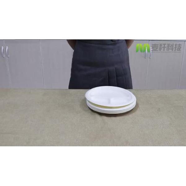 Quality 3 Parts Round White Dessert Biodegradable Disposable Plate Sugarcane Material wholesale
