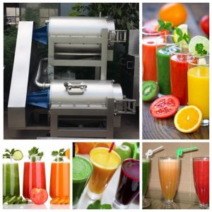 Single And Double Channel Fruit And Vegetable Extractor Beater Machine High