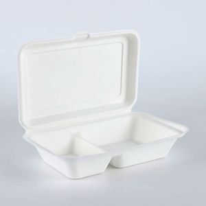 Biodegradable Disposable Sugarcane Bagasse Takeaway Food Container Packaging