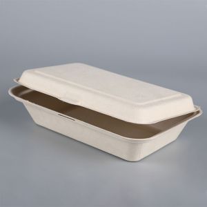 Biodegradable Disposable Sugarcane Bagasse Takeaway Food Container Packaging
