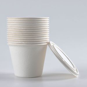 Free Plastic Eco Friendly Soup Bowls , White Tableware Biodegradable Food