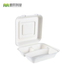 Lunch Box Disposable Sugarcane Pulp * 9 3-grid 100% Sugarcane Bagasse Hotel Restaurant Home Other Dinnerware 470*237*54.5 B032