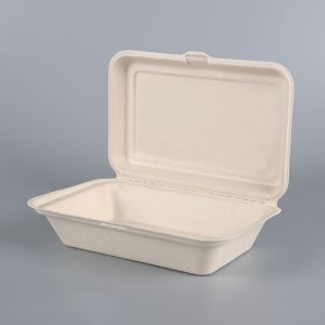 Biodegradable Disposable Sugarcane Bagasse Takeaway Food Container Packaging