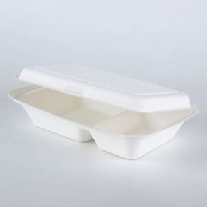 Reduce plastic Biodegradable Disposable Eco future food containers tabelware