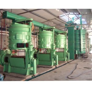 Automatic Multi Oil Seed Press Machine For Coconut