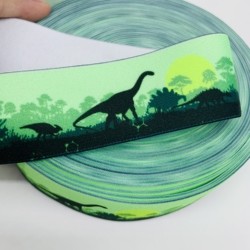 Printing Knitted Polyester Nylon Webbing Jacquard Webbing for Underwear