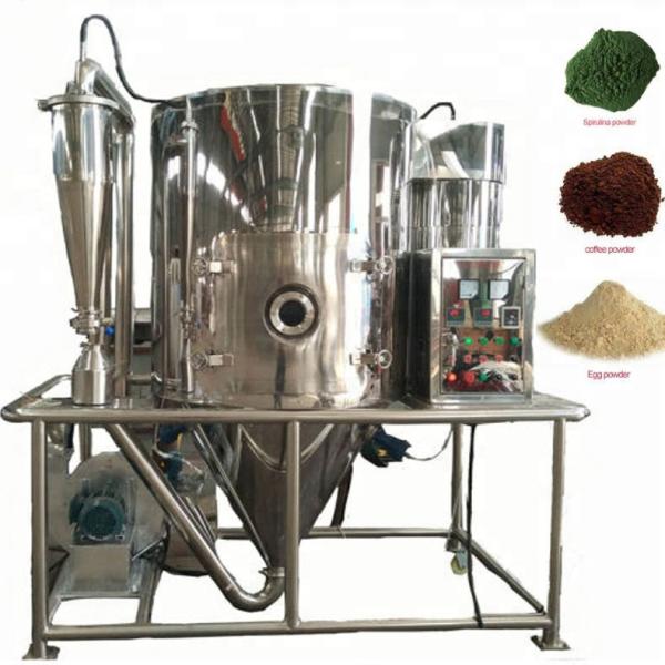 Automation High Aloe Vera Juice Detergent Powder Spray Drying Machine for Making