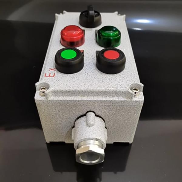 Customizable ZBC-2D1K Explosion-Proof Control Station Power Distribution