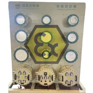 ATEX Explosion-proof Illumination Power Distribution Panels IP66 Corrosion Proof