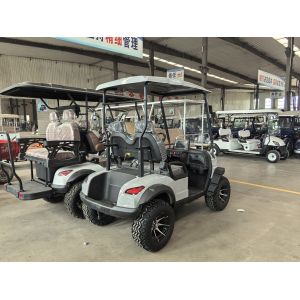 20% Maximum Climbing Degree Two-Person Golf Cart with 120mm Min Ground Clearance