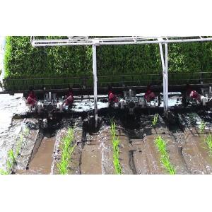 Single Arm 3.68kw 4mu/H Paddy Rice Transplanter Machine
