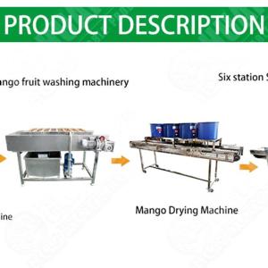 Frozen Vegetables Processing Machinery Pickles Processing Equipments Dehydrated