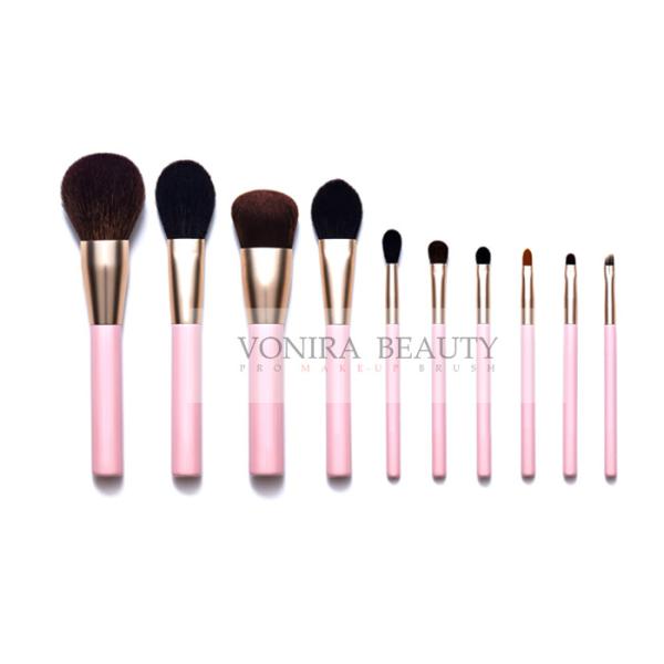Quality 10 PCS Real Hair Makeup Brush Set Collection With Over All Brushes Daily Need wholesale