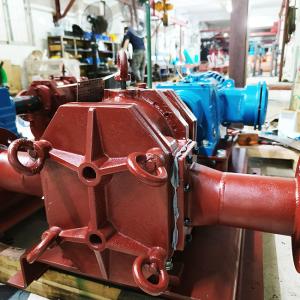 Replace BOERGER PL 200 Rotary Lobe Pump With Screw Tri Lobe NBR Rotors