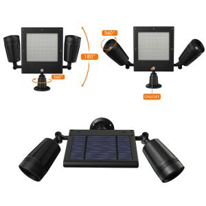 IP65 Solar Garden Light with Light Control and Human Sensing