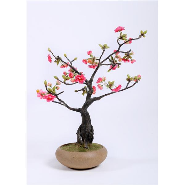 Quality Decorative Artificial Bonsai Tree , Artificial Plants Bonsai Silk Real Touch wholesale