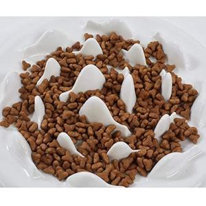 Ceramic Fun Slow Feeder Bowl Interactive Bloat Stop Puzzle Cat Bowl Healthy