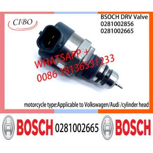 BOSCH DRV Valve 0281002665 Control Valve 0281002665 For Applicable to Volkswagen