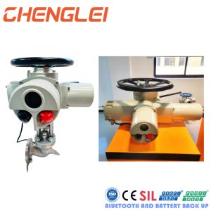 24V/12V DC Waterproof IP65/IP67/IP68 NEMA 4/4X/7&9 Electric Rotational Actuator