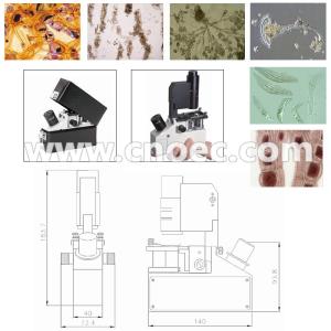 Phase Contrast Inverted Optical Microscope