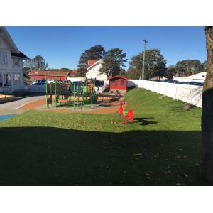 Curved Wire Artificial Landscape Turf 35mm For Garden