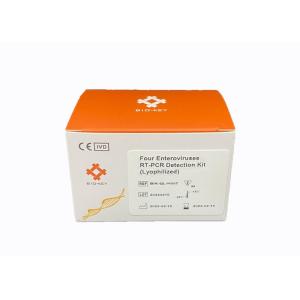RT PCR Norovirus Detection Kit Lyophilized Rotavirus Test Fluorescence Probe