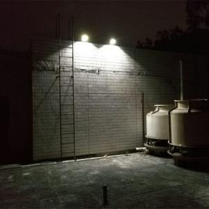 PIR Motion Sensor White 6500K Solar Powered Path Lights