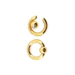 BODY PUNK Piercing Earring Ring Ear Stretcher Expander Weights BCR Gold Captive