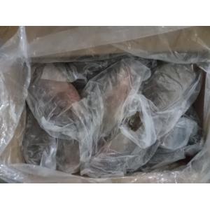 Frozen Tilapia Gutted& Scaled Size before glaze 550-750g