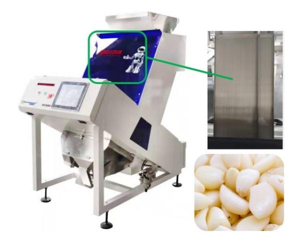 Quality Accurate Recognition Garlic Color Sorter 0.6-1.2 t/h High Speed Sorting Machine wholesale