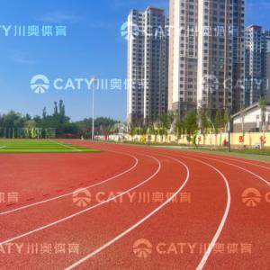Outdoor Anti-UV Jogging Track Material EPDM Granule PU Binderfor School College