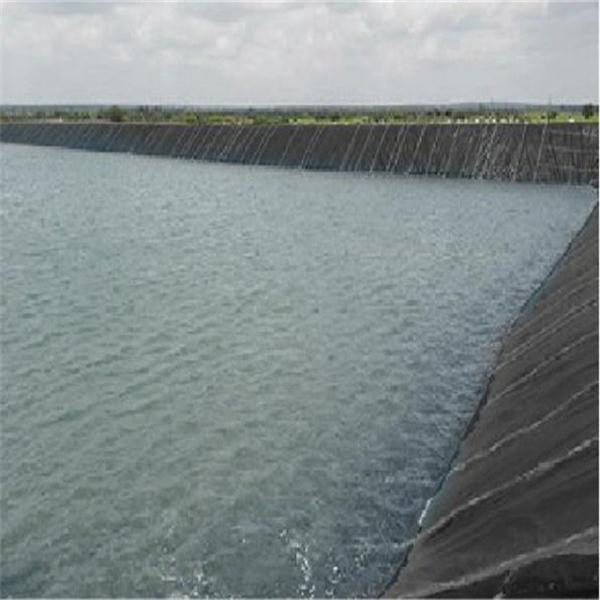 0.2mm-1.5mm HDPE Geomembrane for Fish Pond Shrimp Liners Anti-Oxidation and