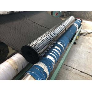 Green Roof HDPE Dimple Drainage Sheet Board Customized for Your Roofing