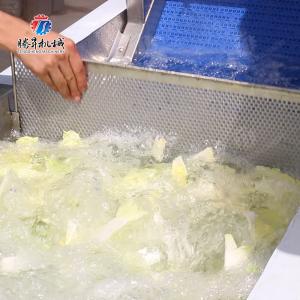 Vegetables Leaves Vegetables Onions Leafy vegetables Cabbage varieties Herbs