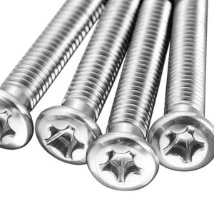 High Precision Custom Stainless Steel Phillips Pan Head Screws with Anti