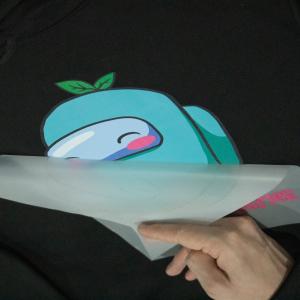 A3 Custom Printing Service For DTF Printer Epson L1800 PET Transfer DTF Film