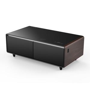 Modern Mini Fridge Tea Table with Music Player and Temperature Range of 3 8 C/6-