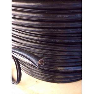 Round Pendant Control Cable with 1 Steels For Crane and Lifter RVV1G 8*1.0MM2