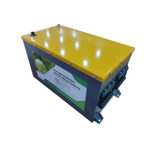 OEM ODM LiFePO4 Lithium Battery Pack for Forklift Customized Lithium Ion Battery