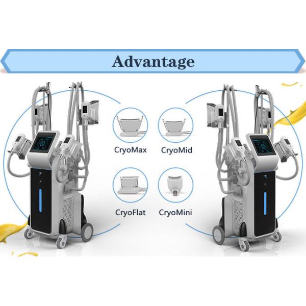 Quality OEM/ODM fat freezing slimming machine 4 cryo handles cryolipolysis with ce fda certification wholesale