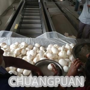 Cheap Coconut Water Extraction in Customized Packaging System of Coconut Processing Machine for sale