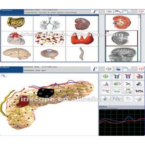 Stable Faster Metapathia GR Hunter 4025 analyzer monitor life resonance intelligence