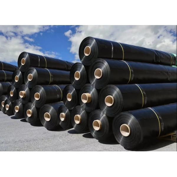 Quick and Easy Installation HDPE Geomembrane Liners for Various Liquid Storage