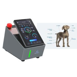 Cheap 980nm Veterinary Laser Therapy Machine Class IV Laser Rehabilitation Therapy for sale
