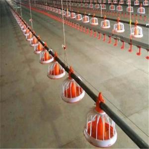 Stainless Chicken Feeding System Pan Feeder Poultry 50-100 Chickens / Hour