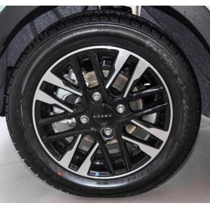 Chery Little Ant 2023 251KM Reai Revised Lithium Iron Phosphate Pure Electric